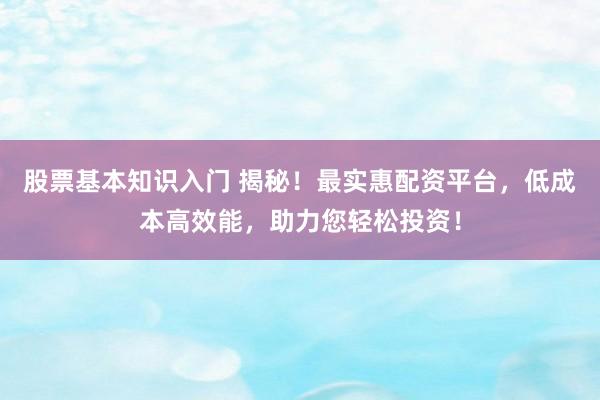 股票基本知识入门 揭秘！最实惠配资平台，低成本高效能，助力您轻松投资！