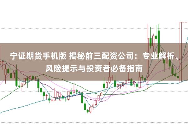 宁证期货手机版 揭秘前三配资公司：专业解析、风险提示与投资者必备指南