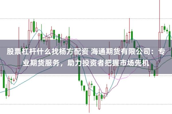 股票杠杆什么找杨方配资 海通期货有限公司：专业期货服务，助力投资者把握市场先机