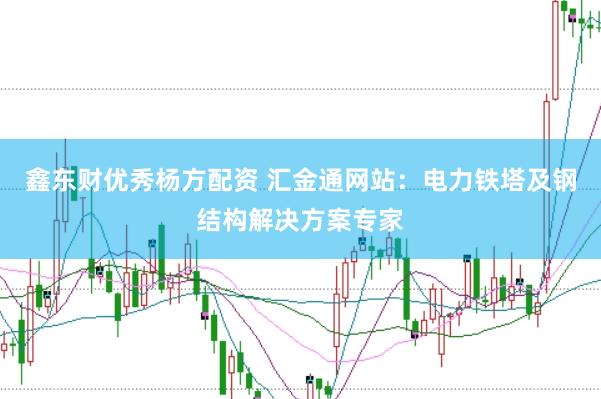 鑫东财优秀杨方配资 汇金通网站：电力铁塔及钢结构解决方案专家