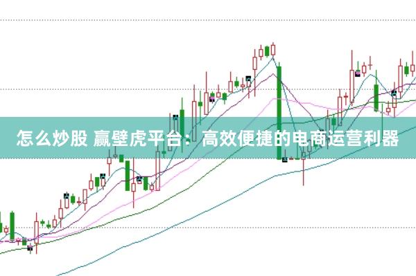 怎么炒股 赢壁虎平台：高效便捷的电商运营利器