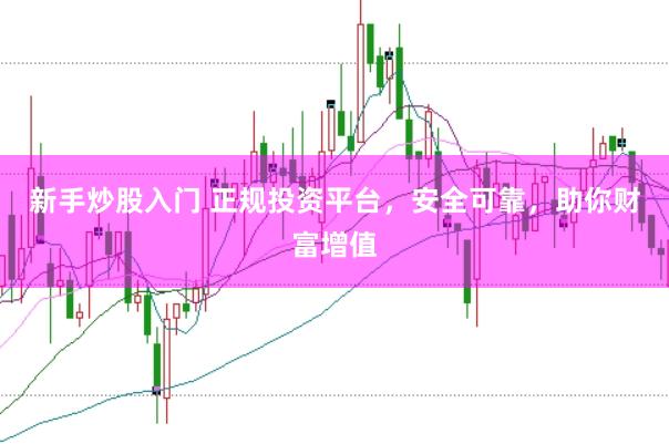 新手炒股入门 正规投资平台，安全可靠，助你财富增值