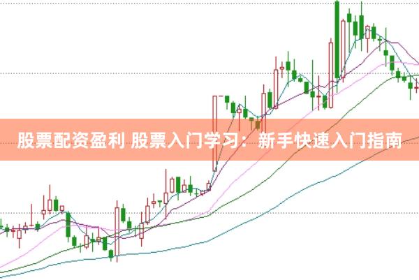 股票配资盈利 股票入门学习：新手快速入门指南