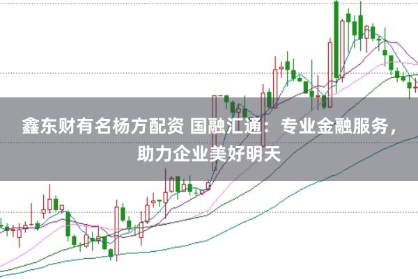 鑫东财有名杨方配资 国融汇通：专业金融服务，助力企业美好明天