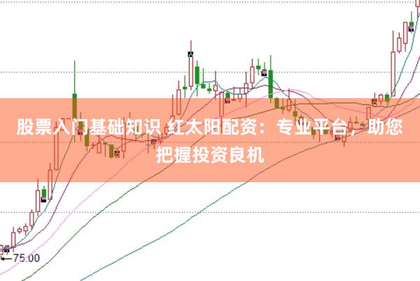 股票入门基础知识 红太阳配资：专业平台，助您把握投资良机