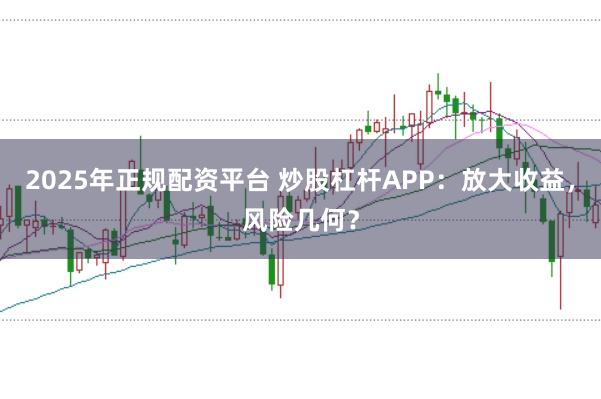 2025年正规配资平台 炒股杠杆APP：放大收益，风险几何？