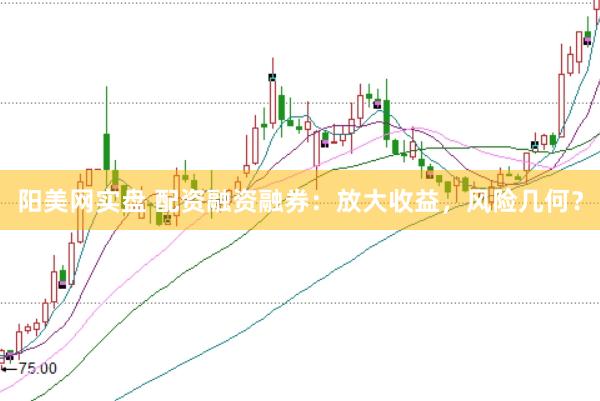 阳美网实盘 配资融资融券：放大收益，风险几何？