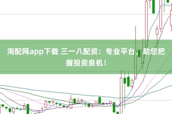 淘配网app下载 三一八配资：专业平台，助您把握投资良机！