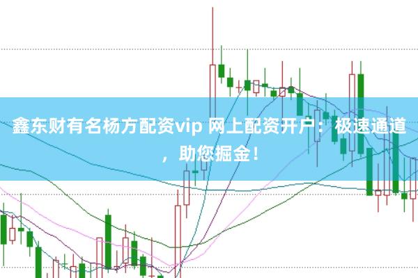 鑫东财有名杨方配资vip 网上配资开户：极速通道，助您掘金！