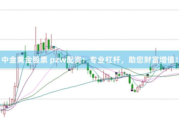 中金黄金股票 pzw配资：专业杠杆，助您财富增值！
