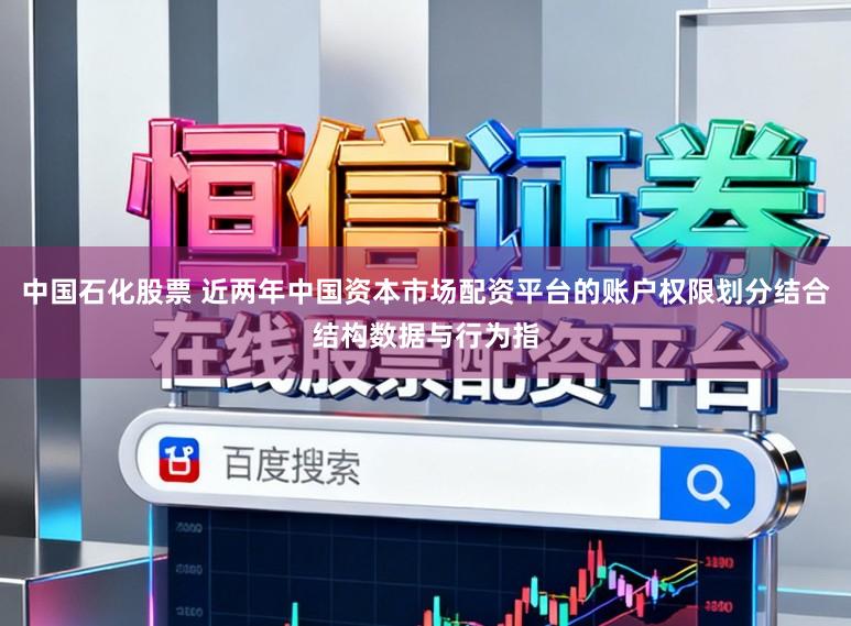 中国石化股票 近两年中国资本市场配资平台的账户权限划分结合结构数据与行为指