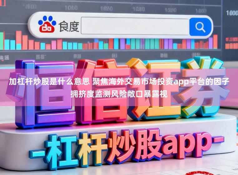 加杠杆炒股是什么意思 聚焦海外交易市场投资app平台的因子拥挤度监测风险敞口暴露视